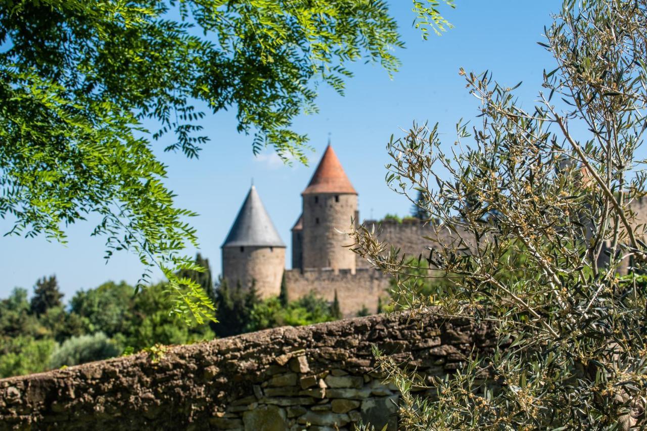 L'Ecrin De La Cite, Coeur De Vignes - Vivez Une Experience Inoubliable ! Carcassonne Zewnętrze zdjęcie