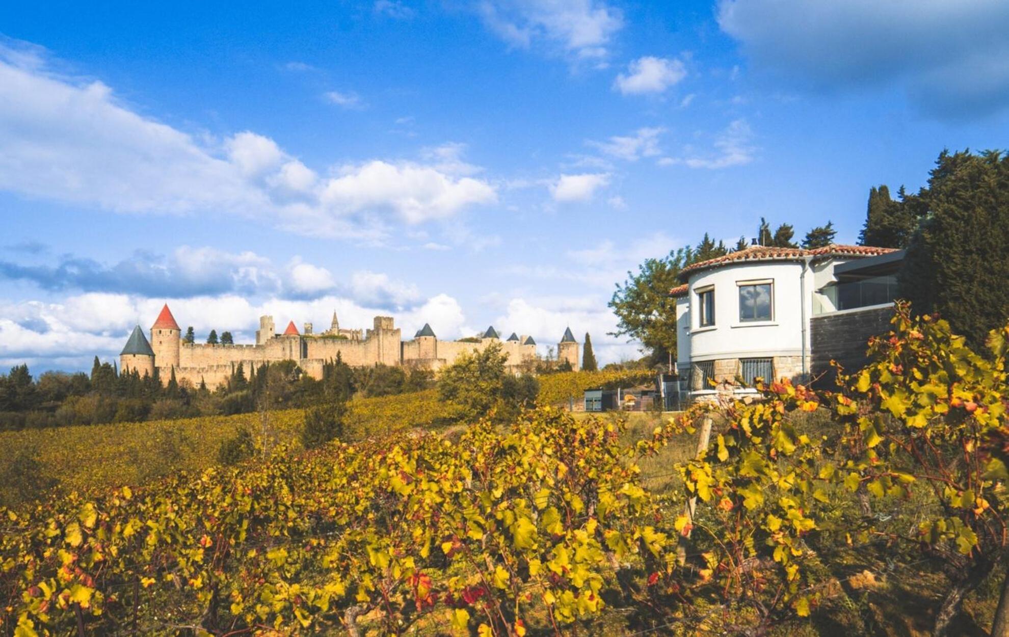 L'Ecrin De La Cite, Coeur De Vignes - Vivez Une Experience Inoubliable ! Carcassonne Zewnętrze zdjęcie